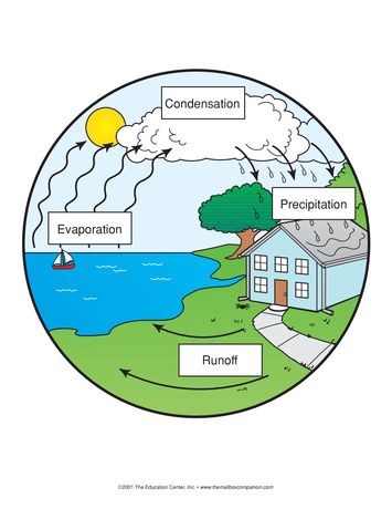 Water Cycle Diagram, Lesson Plans - The Mailbox | Water cycle diagram ...