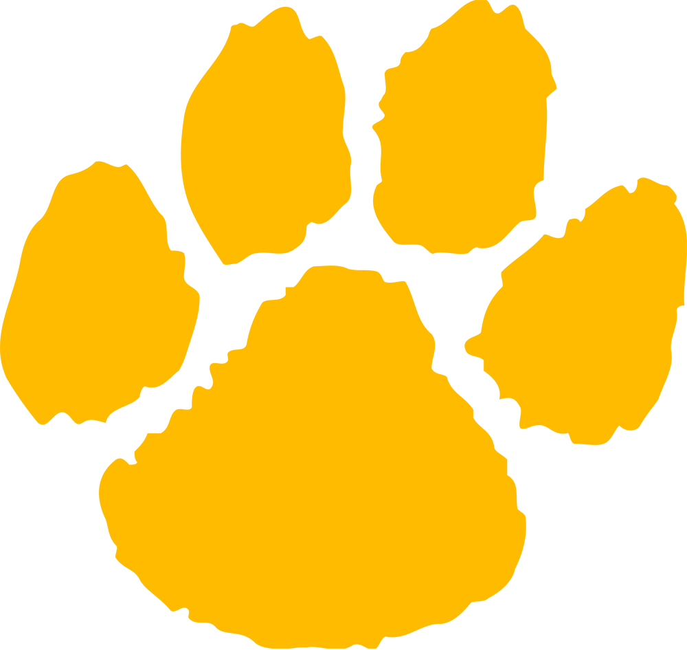 Wildcats Paw Logo