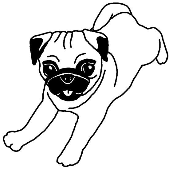 Pug, perro, dibujo | Labradoodle art, Drawings, Pug art