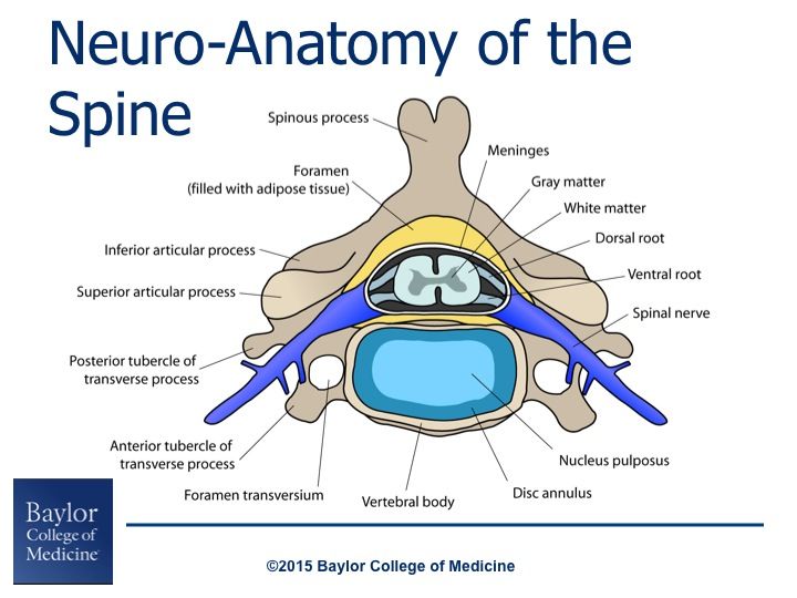 Pin on PT Educational