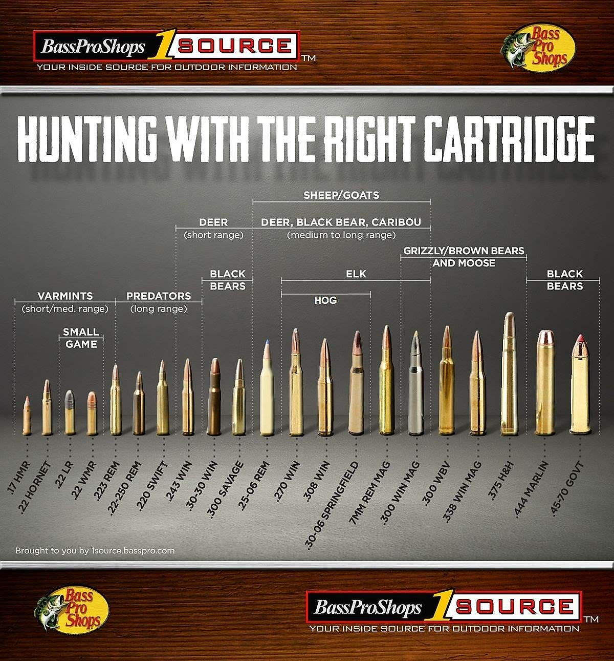 Sniper Rifle Caliber Chart