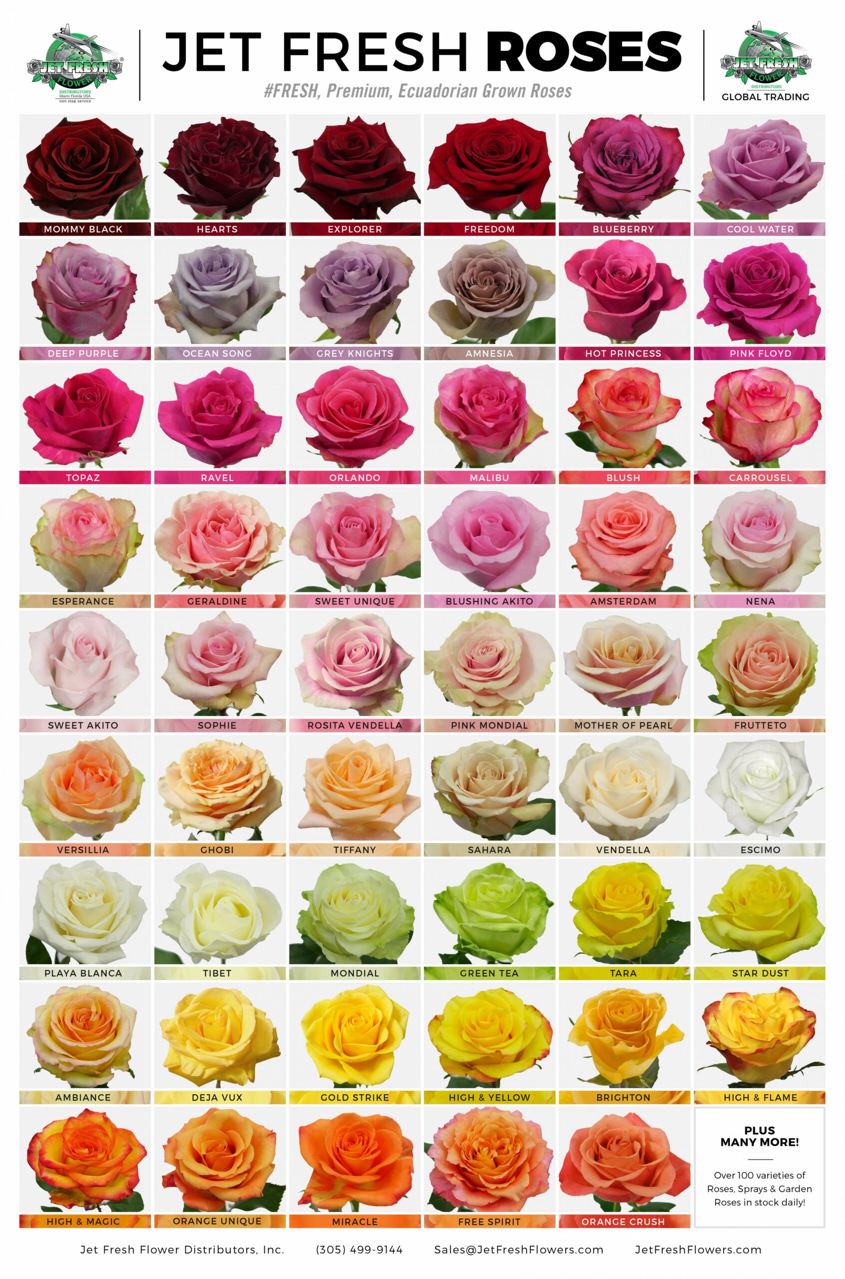 Ten Solid Evidences Attending Types Of Flowers Rose Is Good For Your ...