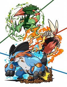 Mega Sceptile, Mega Blaziken, Mega Swampert Mega Evolution Pokemon ...