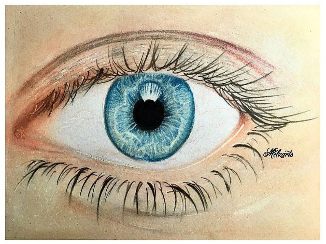 Eye study - color pencil drawing by Melzarts | Color pencil drawing ...