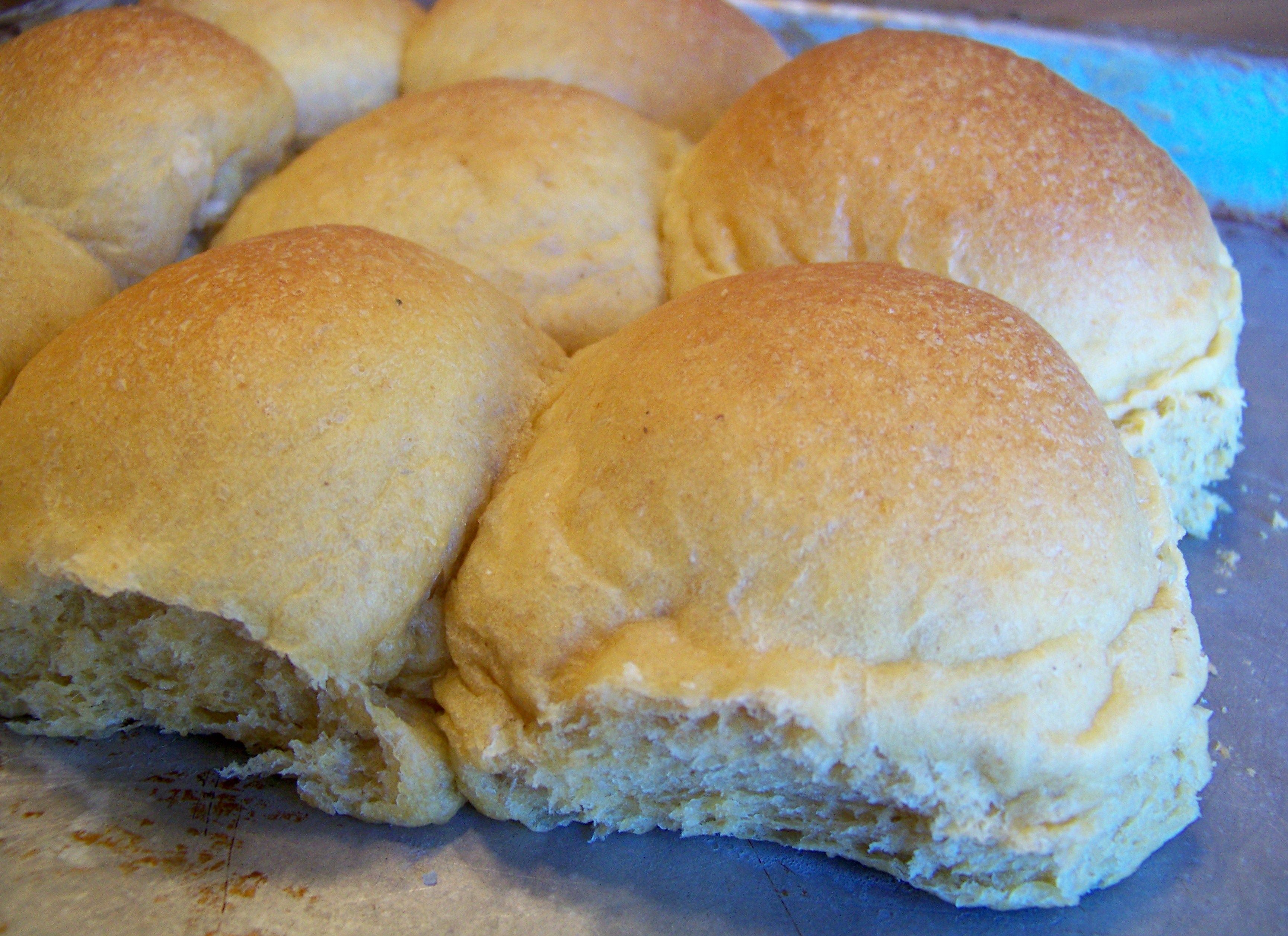 Bread Machine Buttery Rolls | Buttery rolls, Bread machine, Bread ...