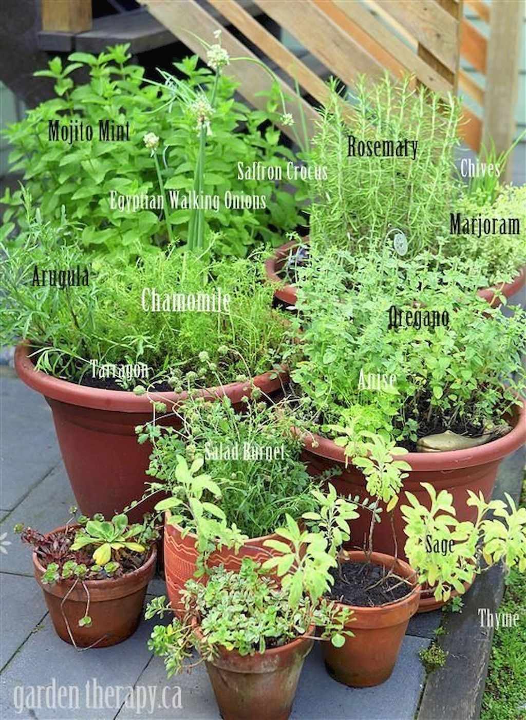 50 Creative Apartment Herb Garden Ideas You Can Do Adorable DIY