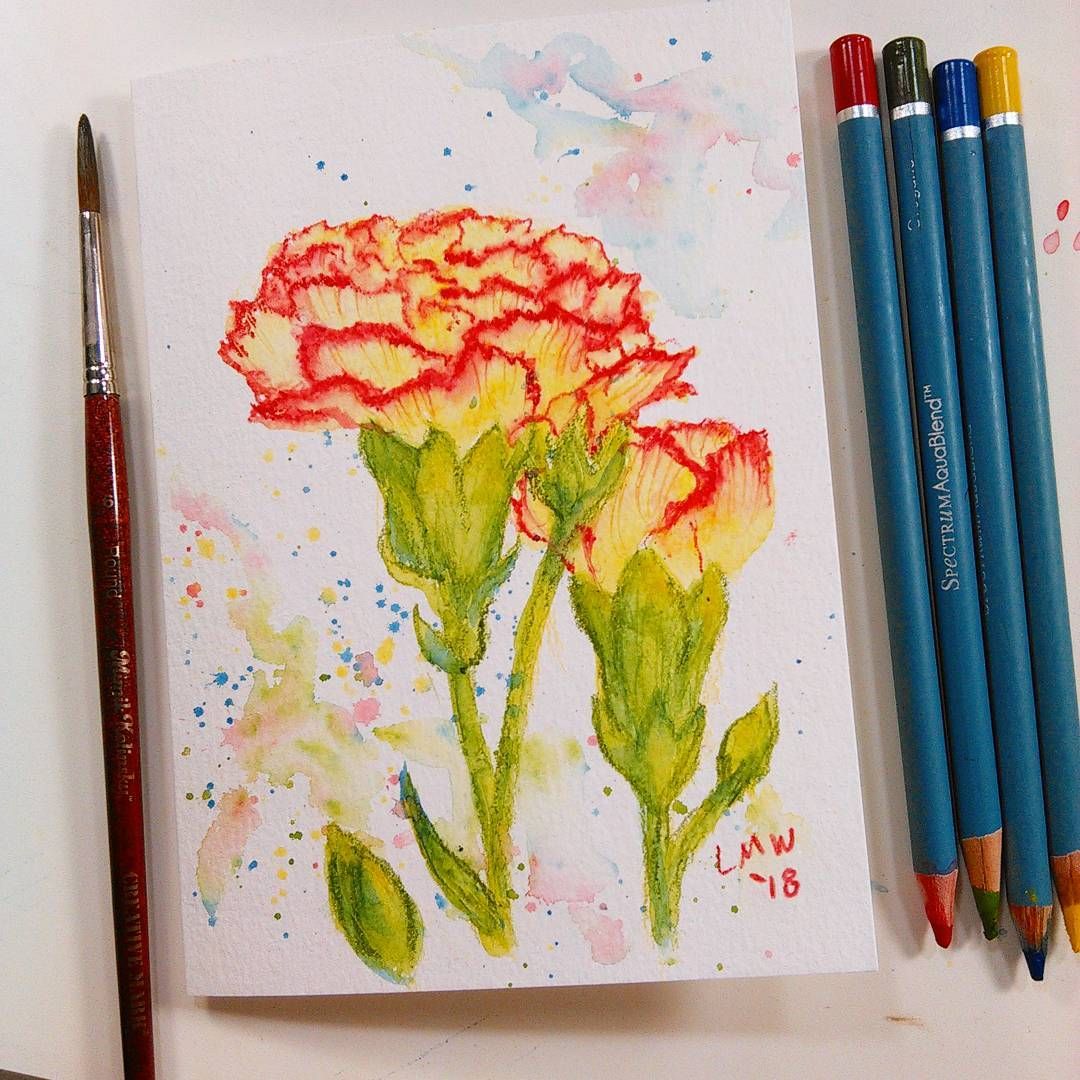 Watercolor Pencils Techniques, Watercolor Pencil Art, Watercolor ...