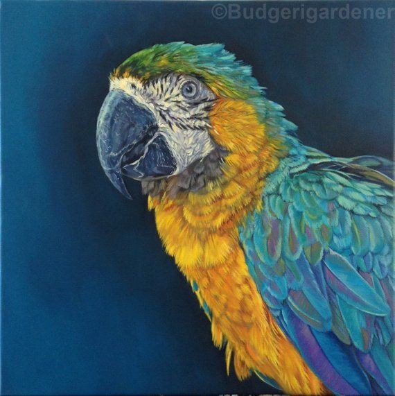 Blue & Gold Macaw Giclee Print From Oil Painting Tropical | Etsy | Blue ...