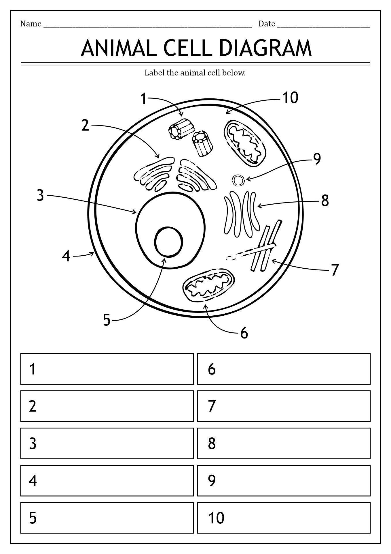 15 Label Cell Organelles Worksheet | Cell diagram, Animal cell, Cell ...