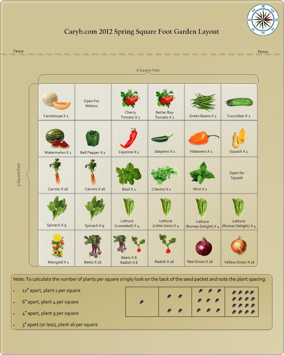 great info about square foot gardening and how many plants to fit per ...