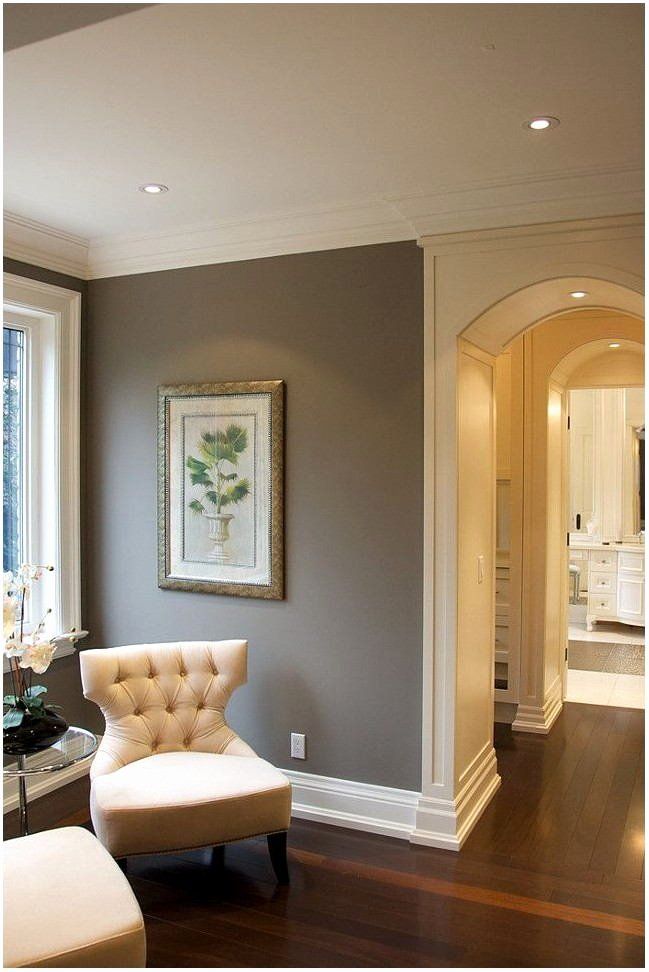 Silver Fox Paint Living Room Luxury Silver Gray Paint for Living Room