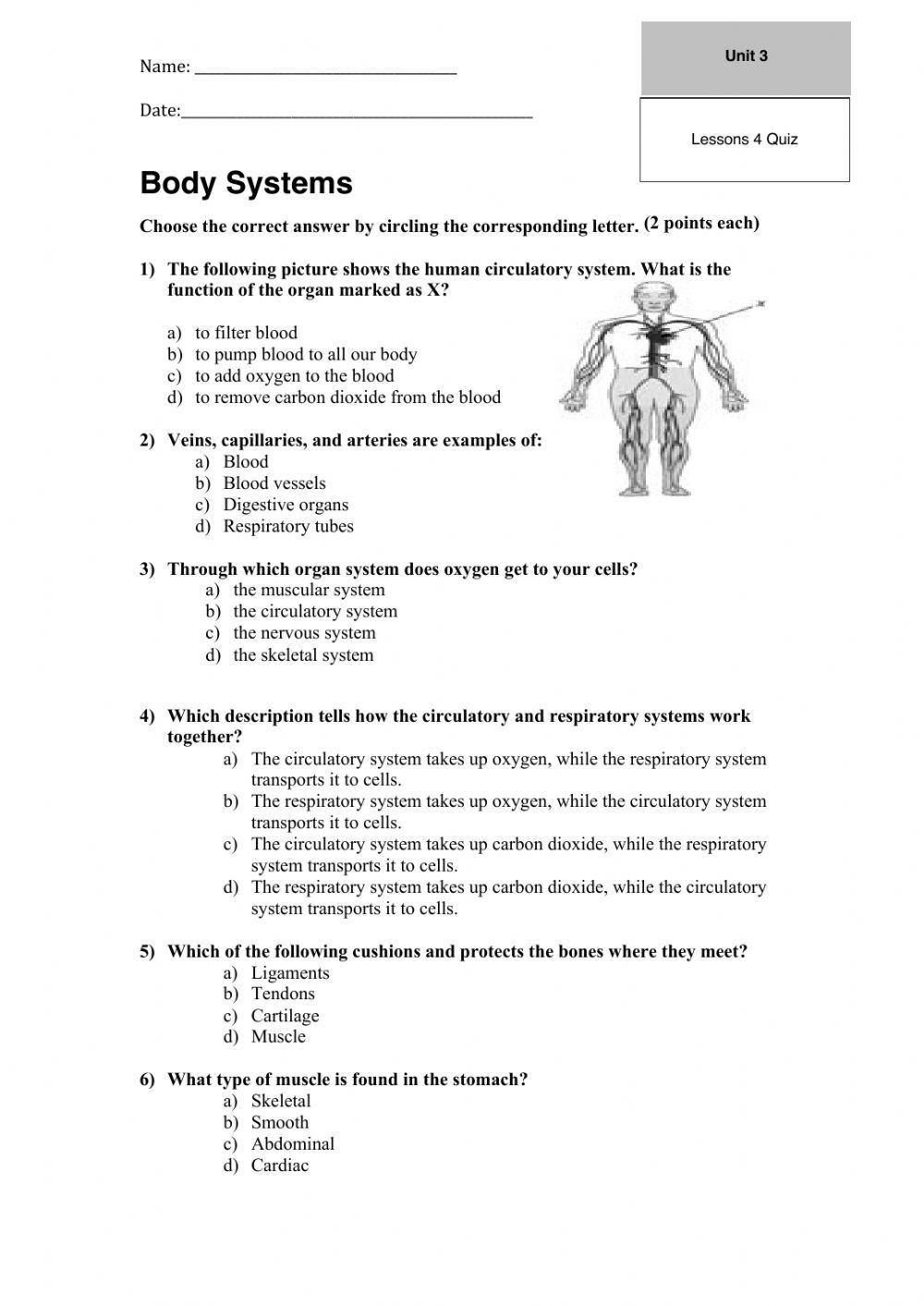 Ejercicio de Quiz body systems | Body systems worksheets, Body systems ...