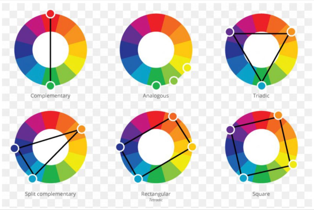 Pin by Francesca Sambastian on Complementary | Color theory ...