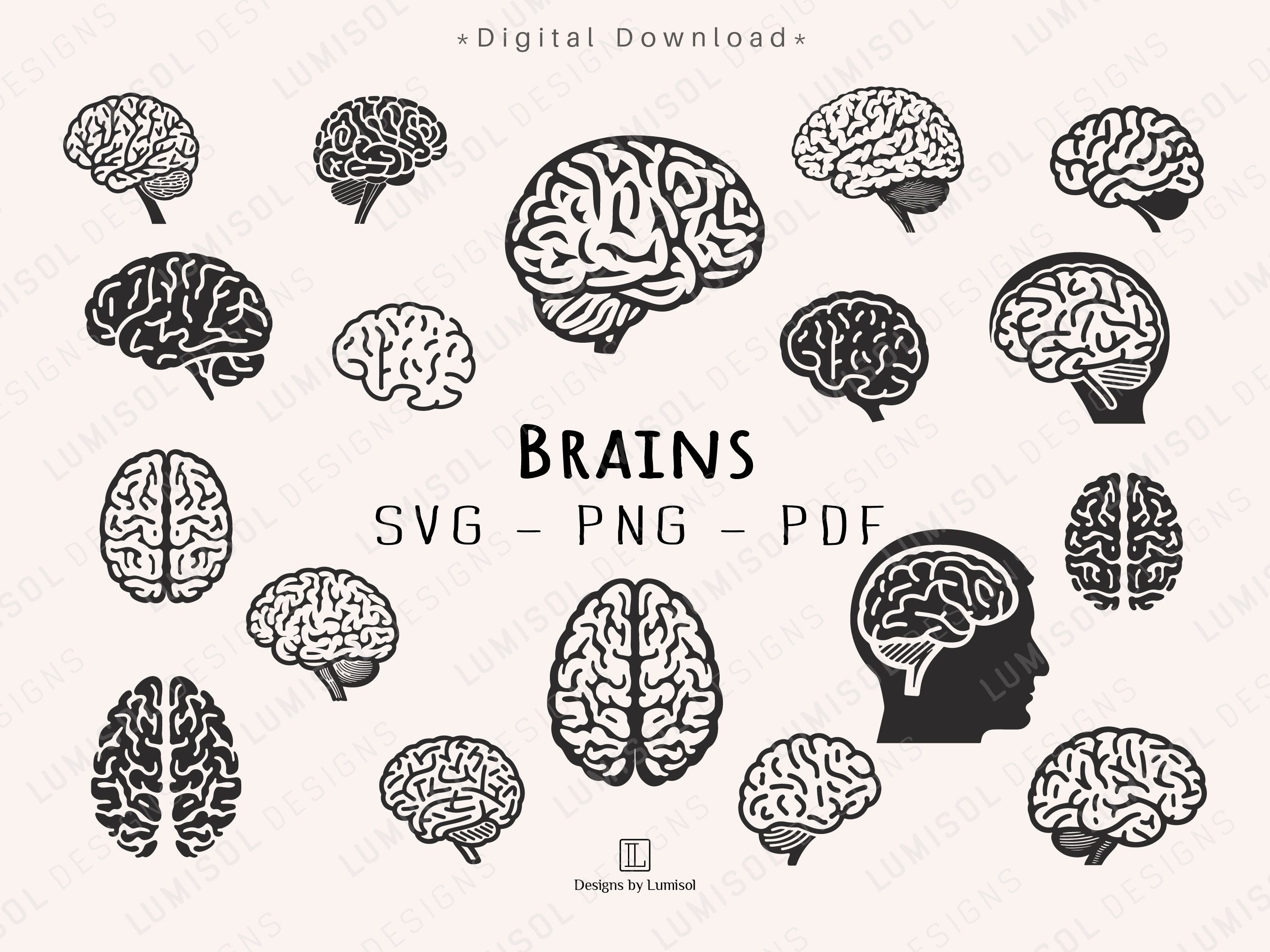 the brain is shown in black and white