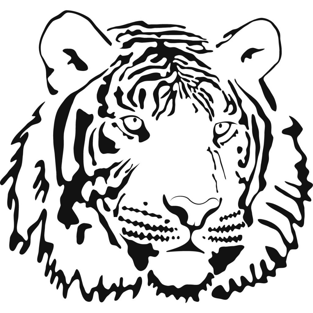 Tiger Face Line Drawing Tiger Face Line Drawing Tiger Face