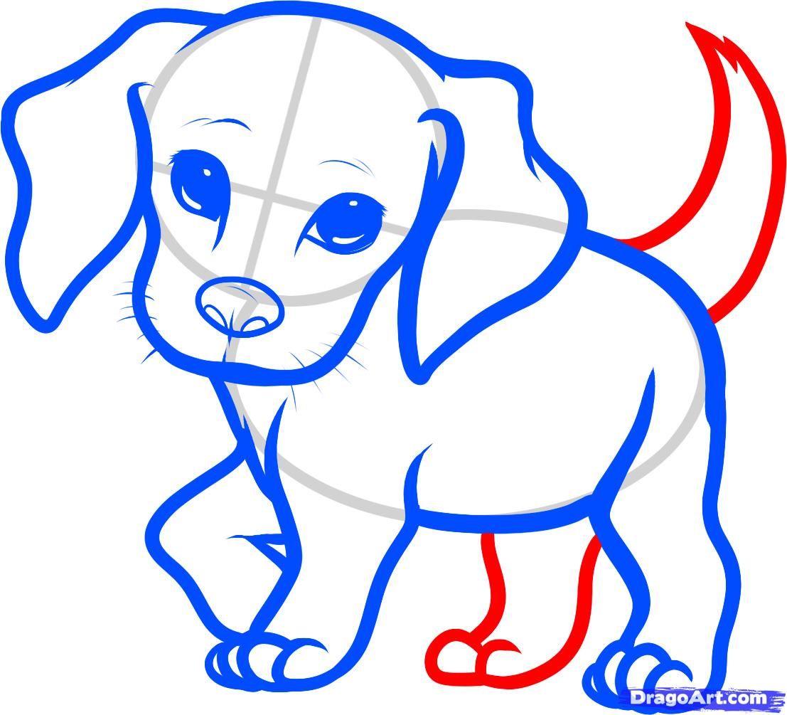 How to Draw a Beagle Puppy, Beagle Puppy, Step by Step