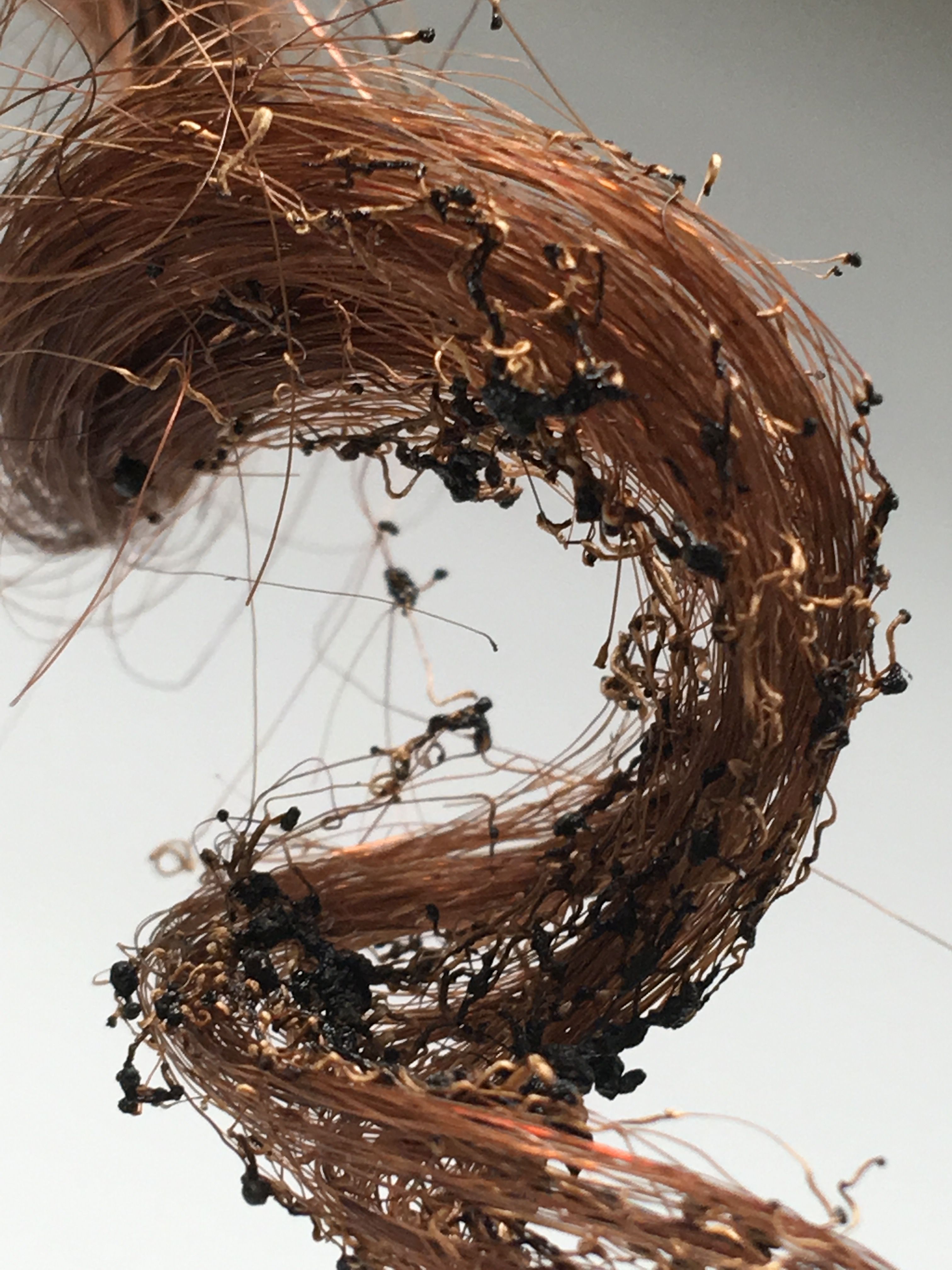 Burned Hair Burnt Hair, Damaged Hair, Hair Hacks, Grapevine Wreath ...