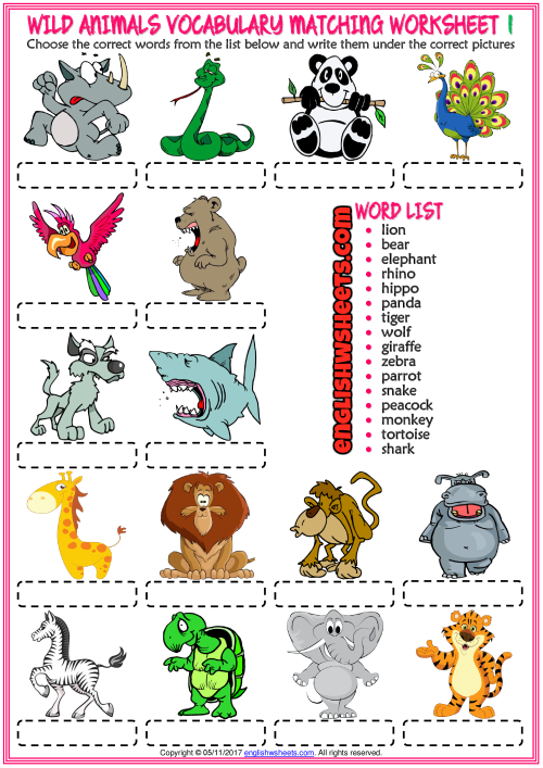 Animal Worksheets, Spelling Worksheets, Vocabulary Worksheets ...