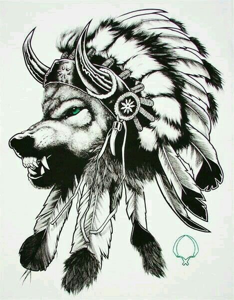 Beautiful sketch of Native American/wolf Wolf Tattoo Design, Indian ...