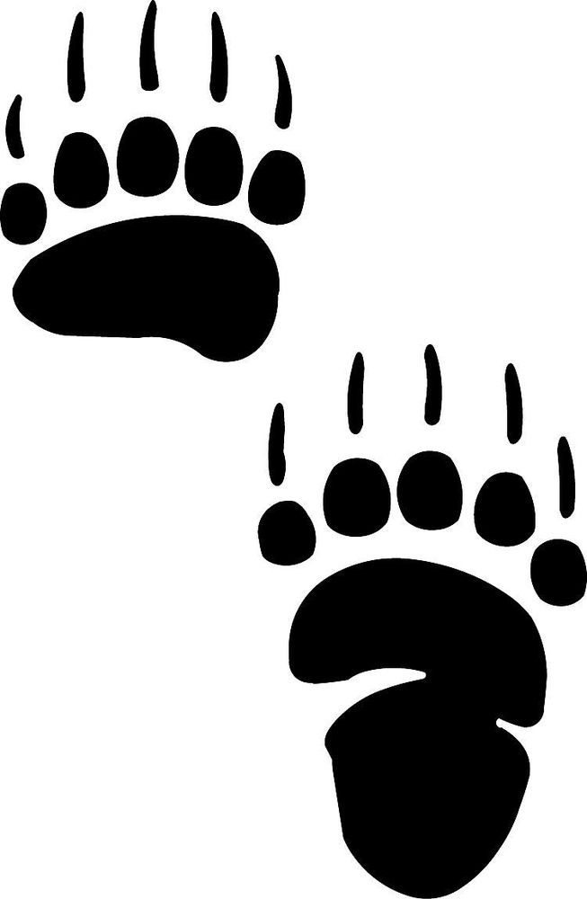 Grizzly Bear Paw Outline