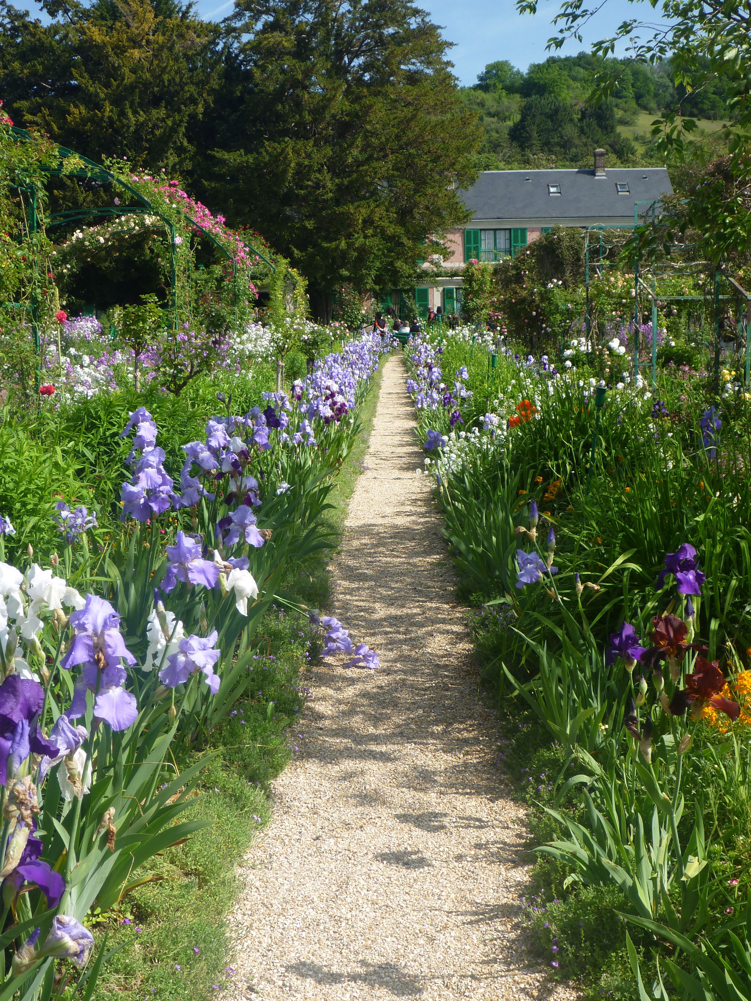 Monet's Garden, Giverny | Monet garden giverny, Beautiful gardens ...