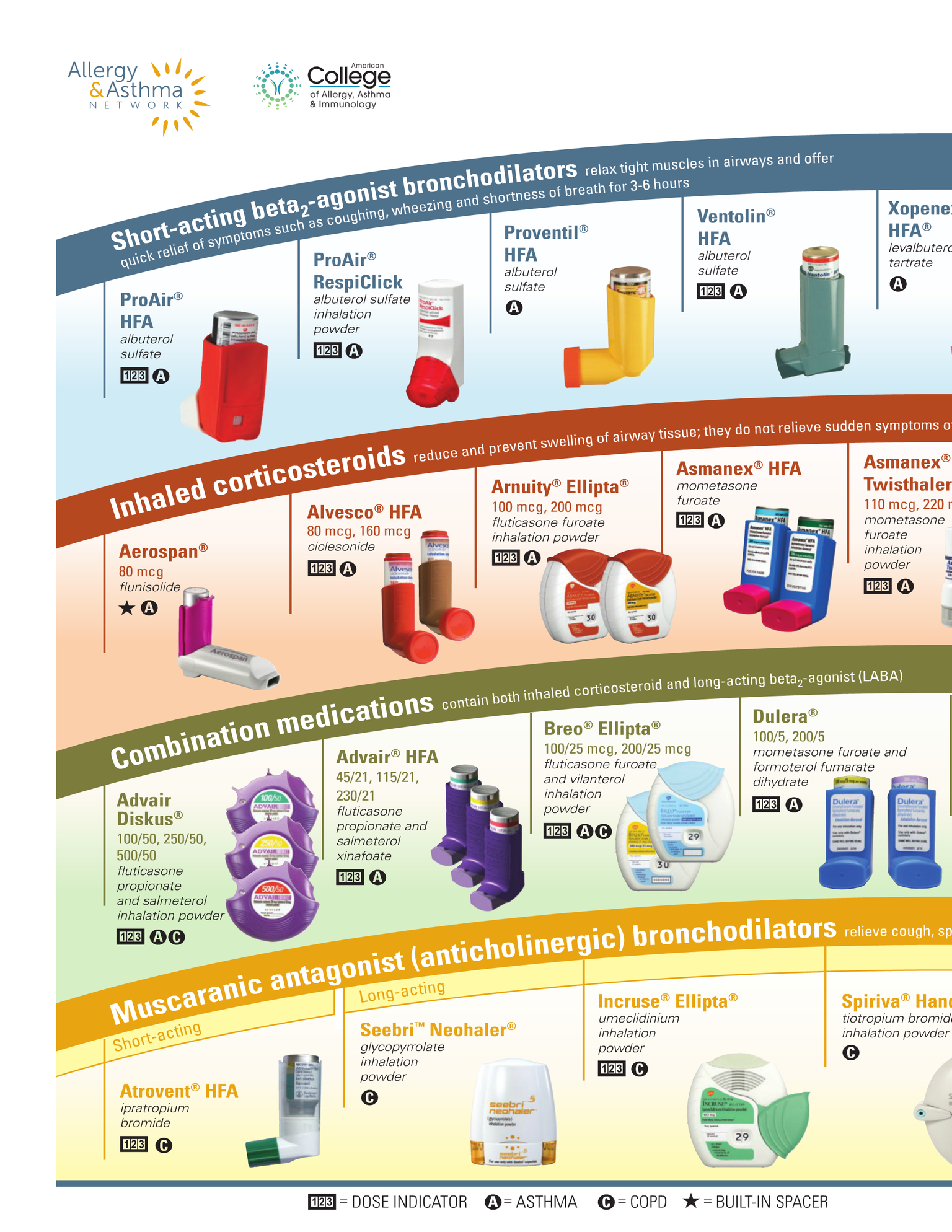 Allergy And Asthma Inhaler Chart