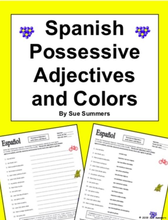 Spanish Possessive Adjectives with Colors and Common Nouns | Possessive ...