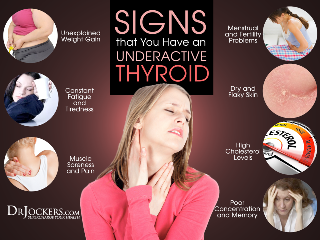 The Hypothyroidism Nutrition Plan - DrJockers.com Thyroid Diet, Thyroid ...