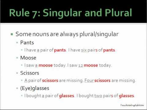 Singular and Plural Nouns  School Lead