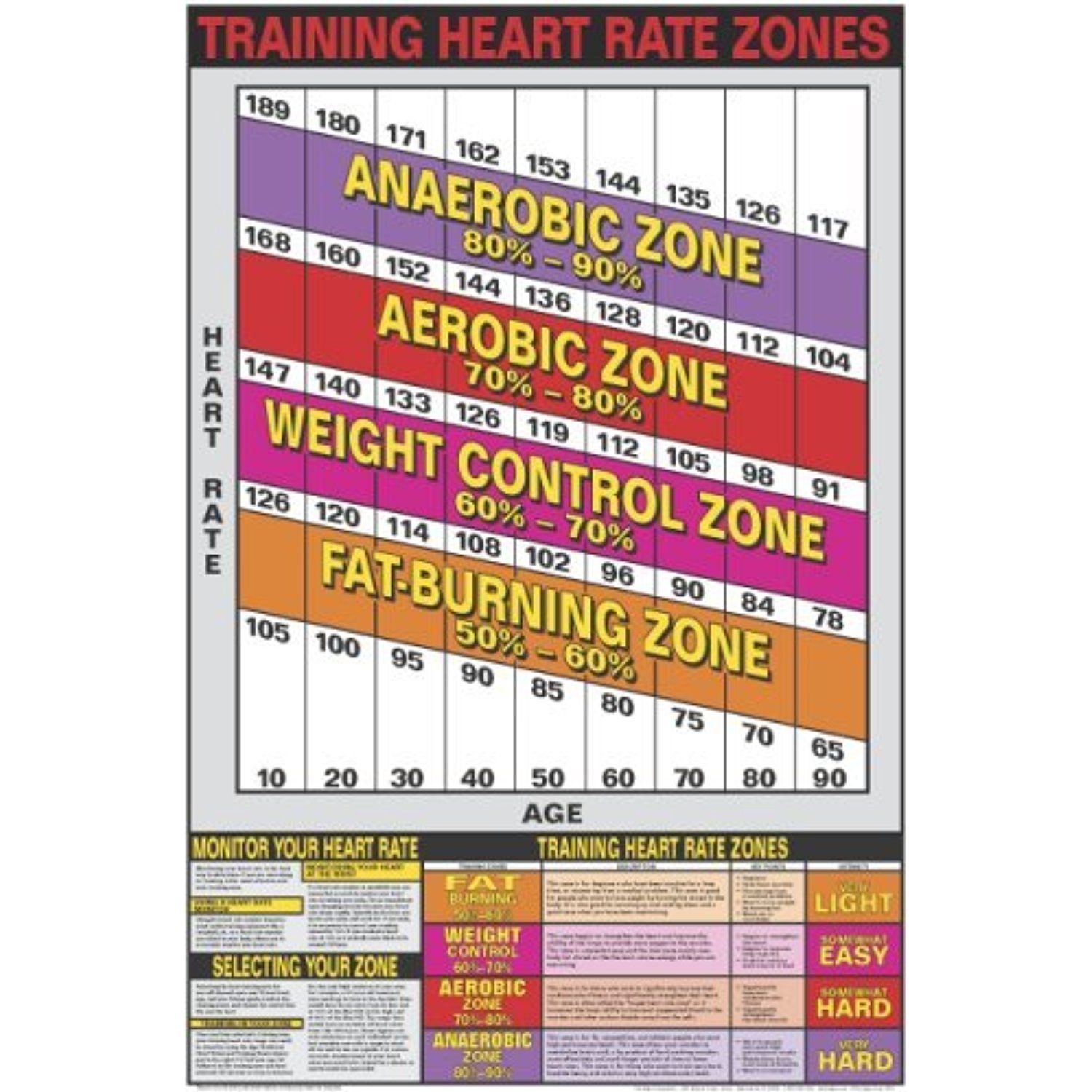 Erogenous Zones Chart