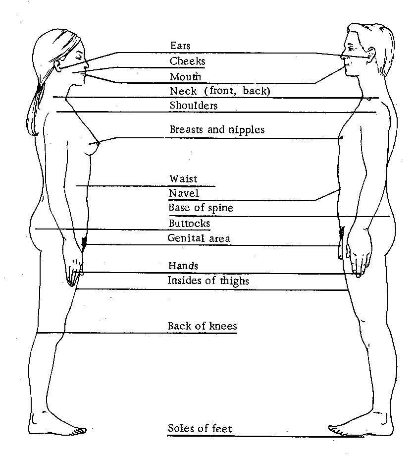 The Seven Erogenous Zones Chart Friends