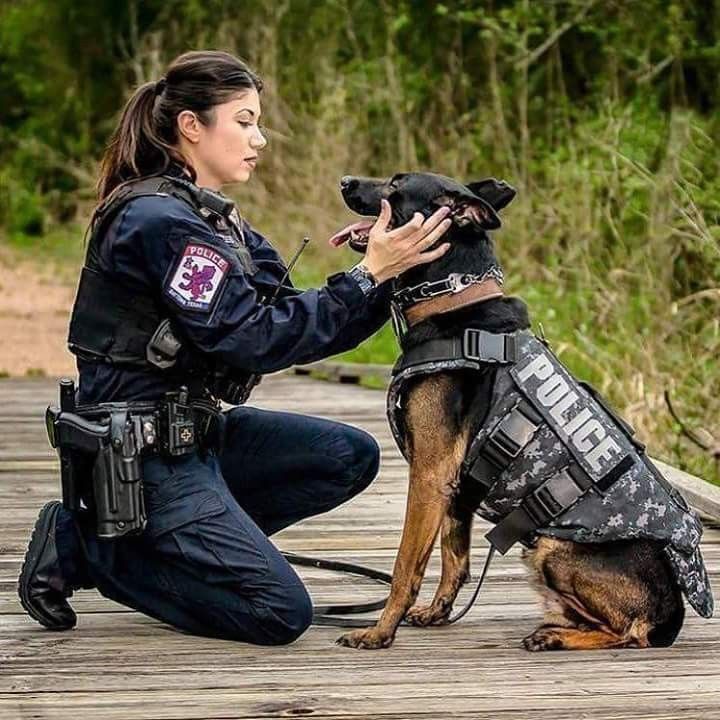 Military Working Dogs, Military Dogs, Military Women, Women Police, K9 ...