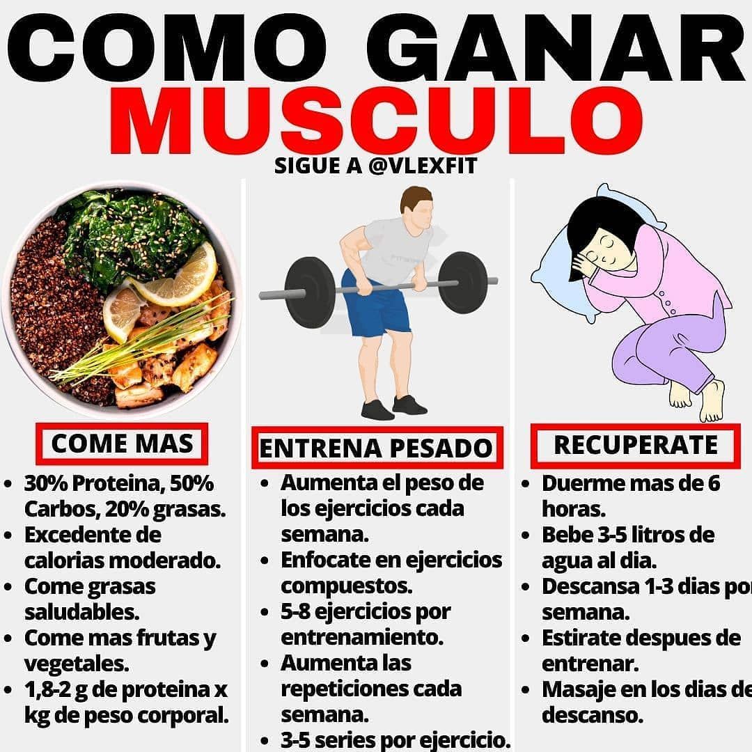 Lista 101+ Foto Rutina Semanal Para Aumentar Masa Muscular En Casa El ...