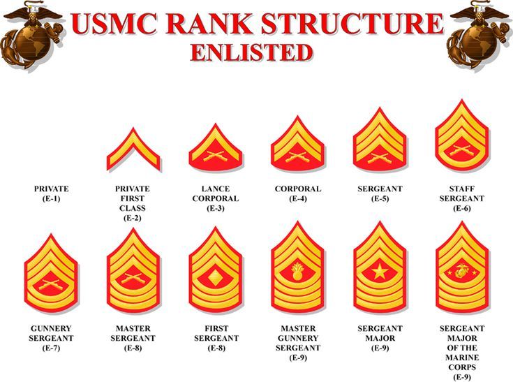 the us marine rank structure is depicted in this poster