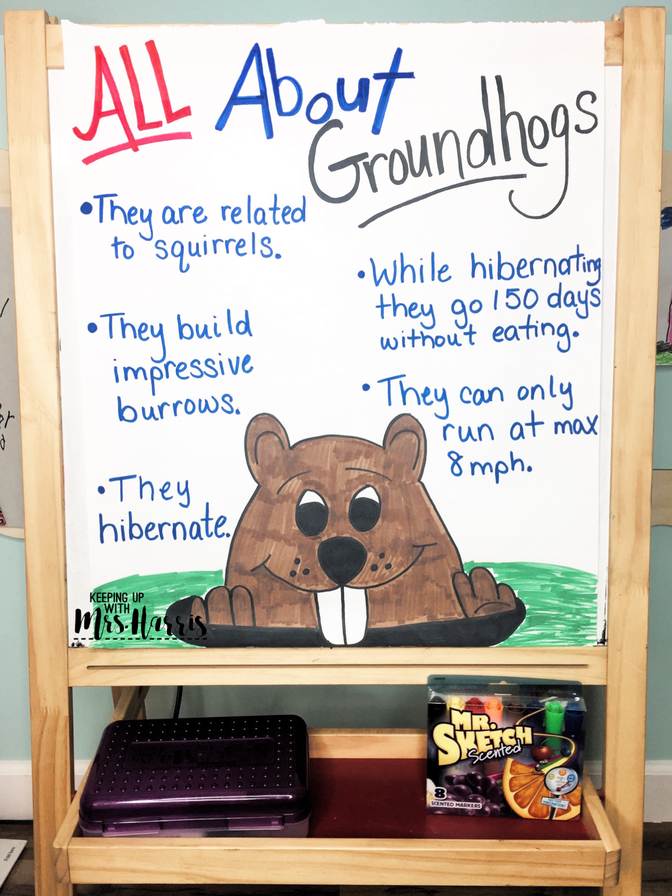 Preschool Groundhog, Groundhog Day Activities, Winter Preschool ...