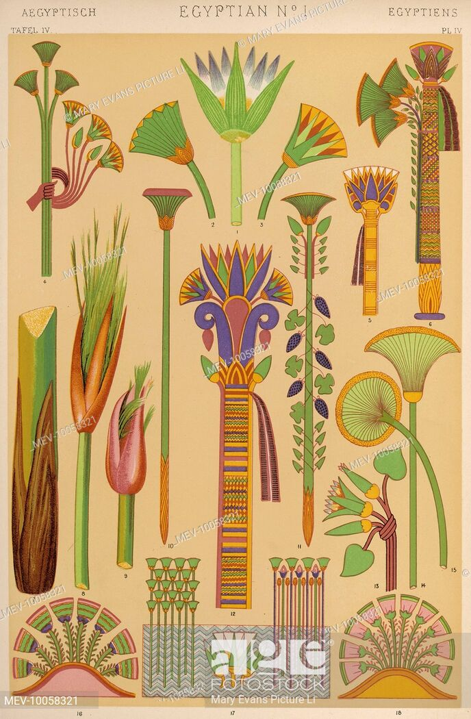 Representations of plants of importance in Ancient Egypt: the lotus ...