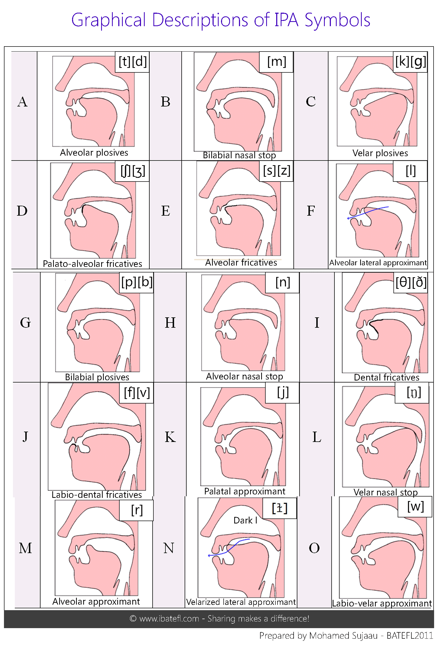 Phonetic Mouth Chart image.