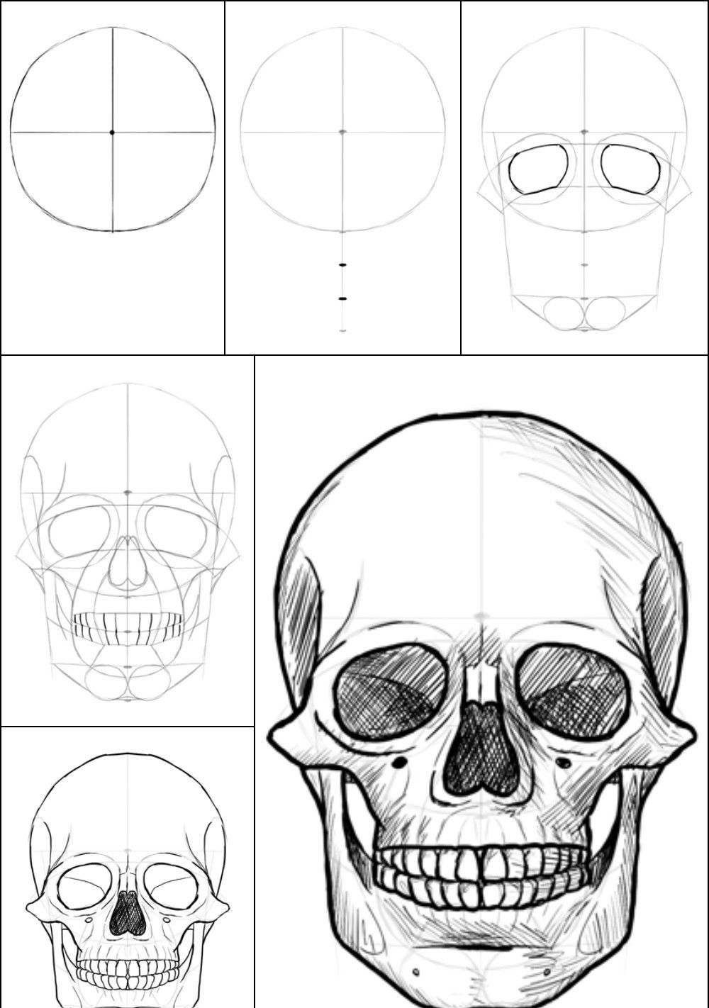 Eternal Beauty | Skull drawing, Skulls drawing, Easy skull drawings