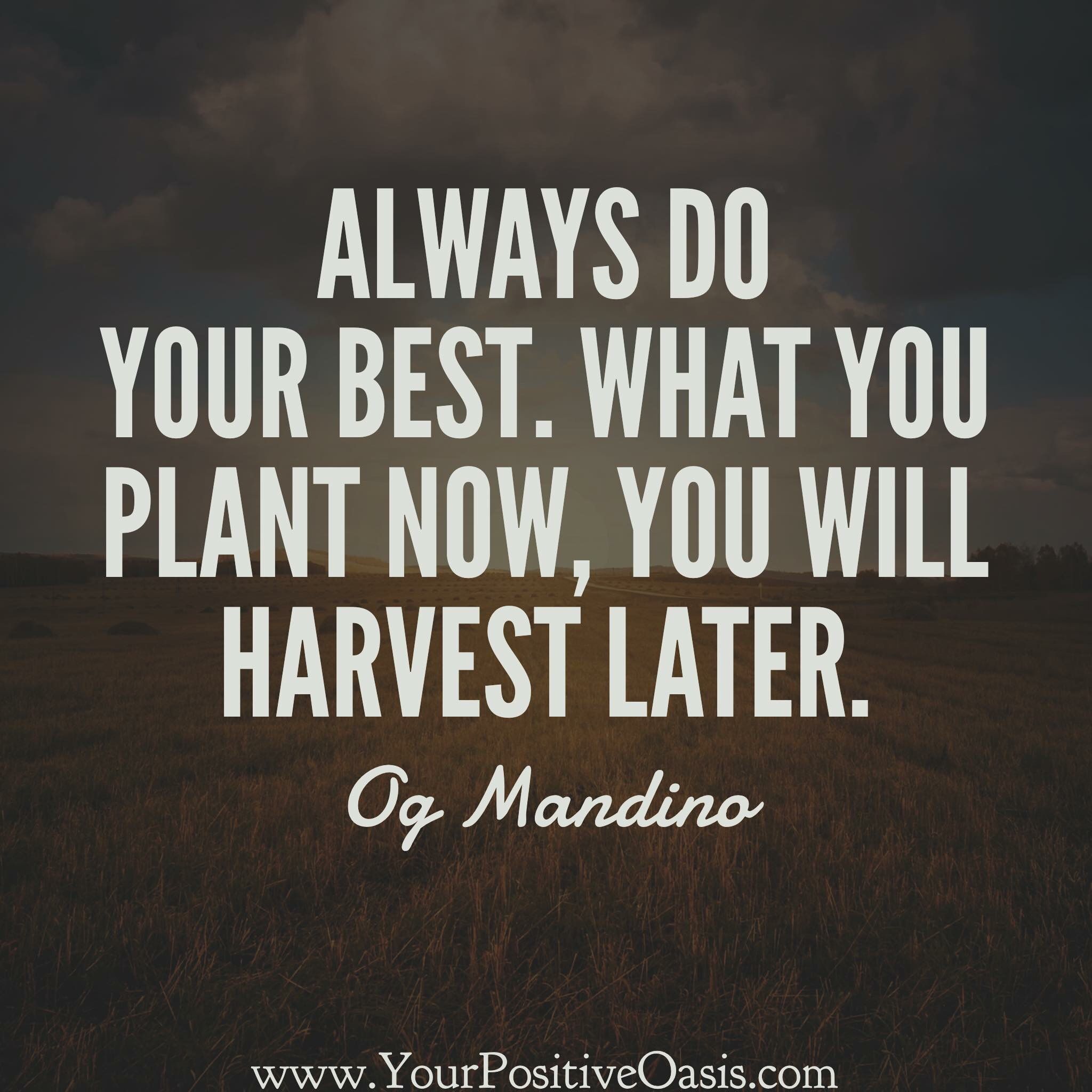 Og Mandino Quotes