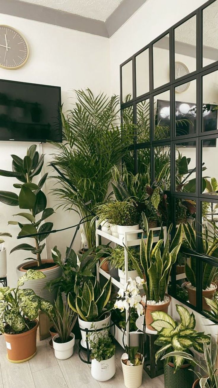 15 Interior Plant Design Ideas 2024 You Will Love | Interior plants ...