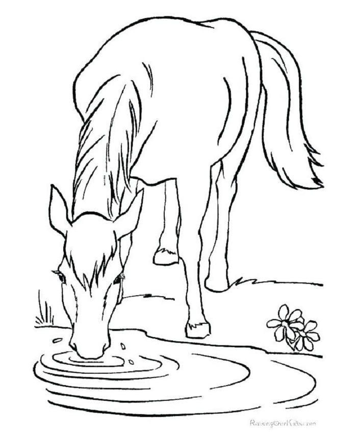 Download Horses Coloring Pages Online | Horse coloring pages ...