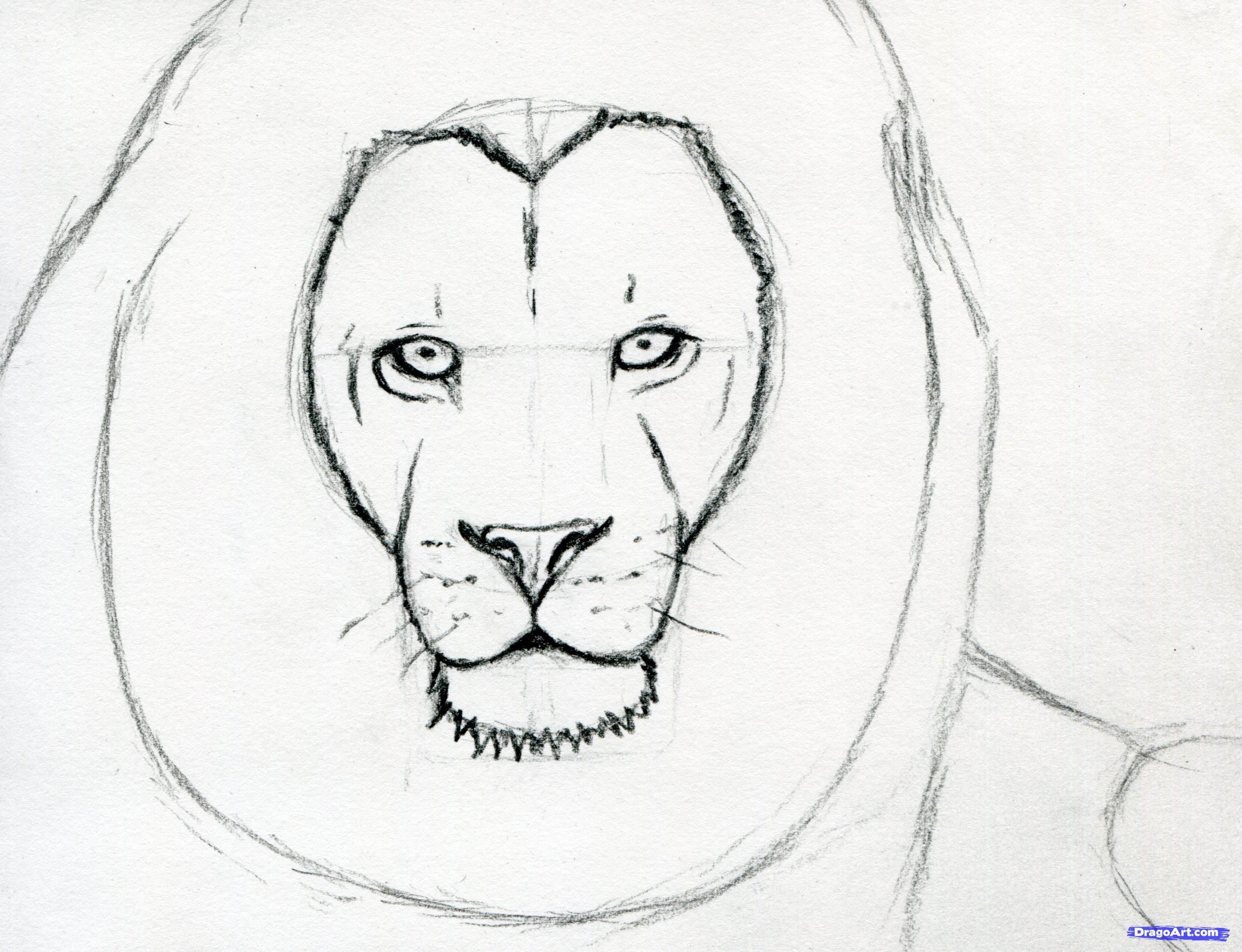 how to sketch a lion step 7 #stepbystepfacepainting | Lion face drawing