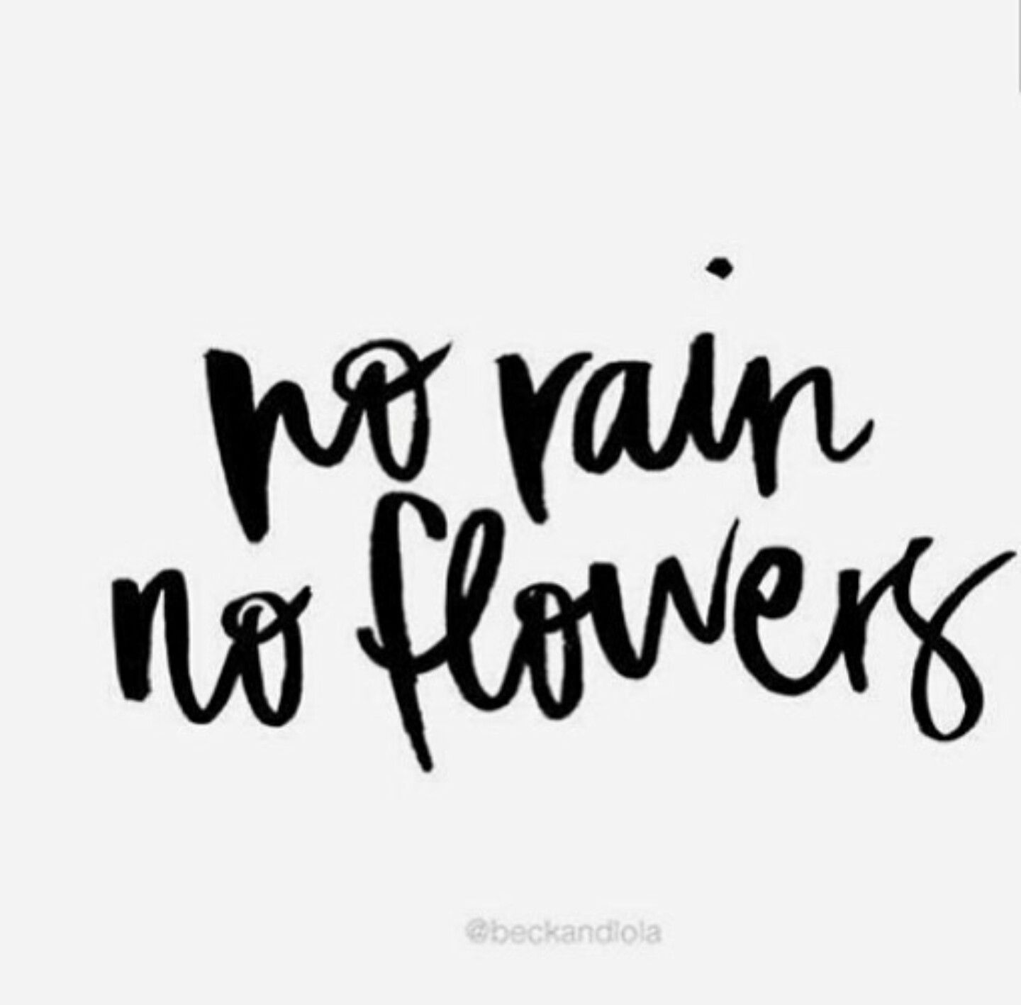 No Rain No Flowers Quotes Pinterest Quotes Instagram Quotes