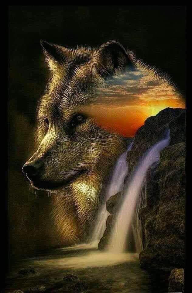 Spirit Wolf And Waterfall | Wolf photos, Wolf pictures, Wolf artwork