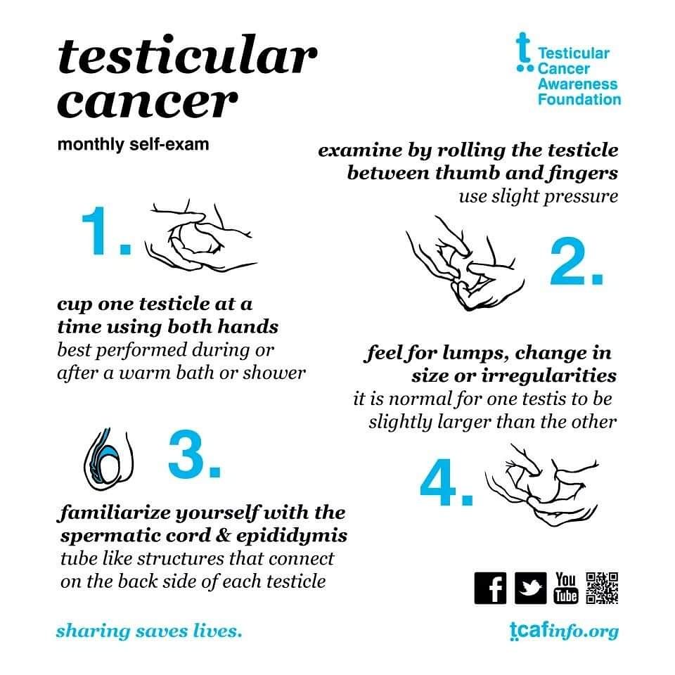 Testicular Cancer Monthly Self-Exam - Imgur | Logo | Ejercicios