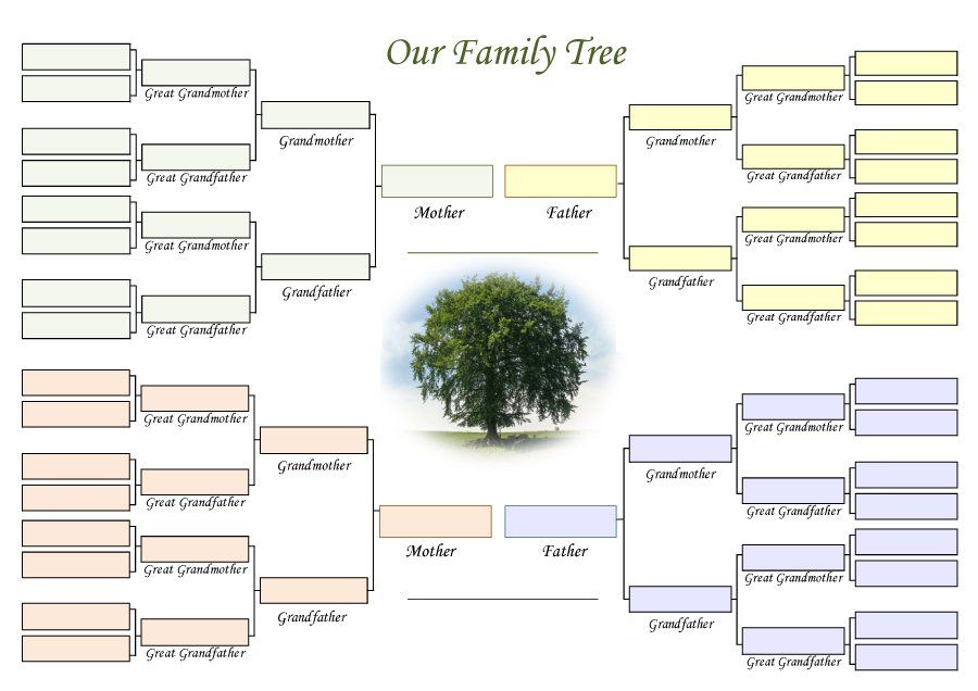 Download family tree template 18 | Blank family tree, Family tree ...