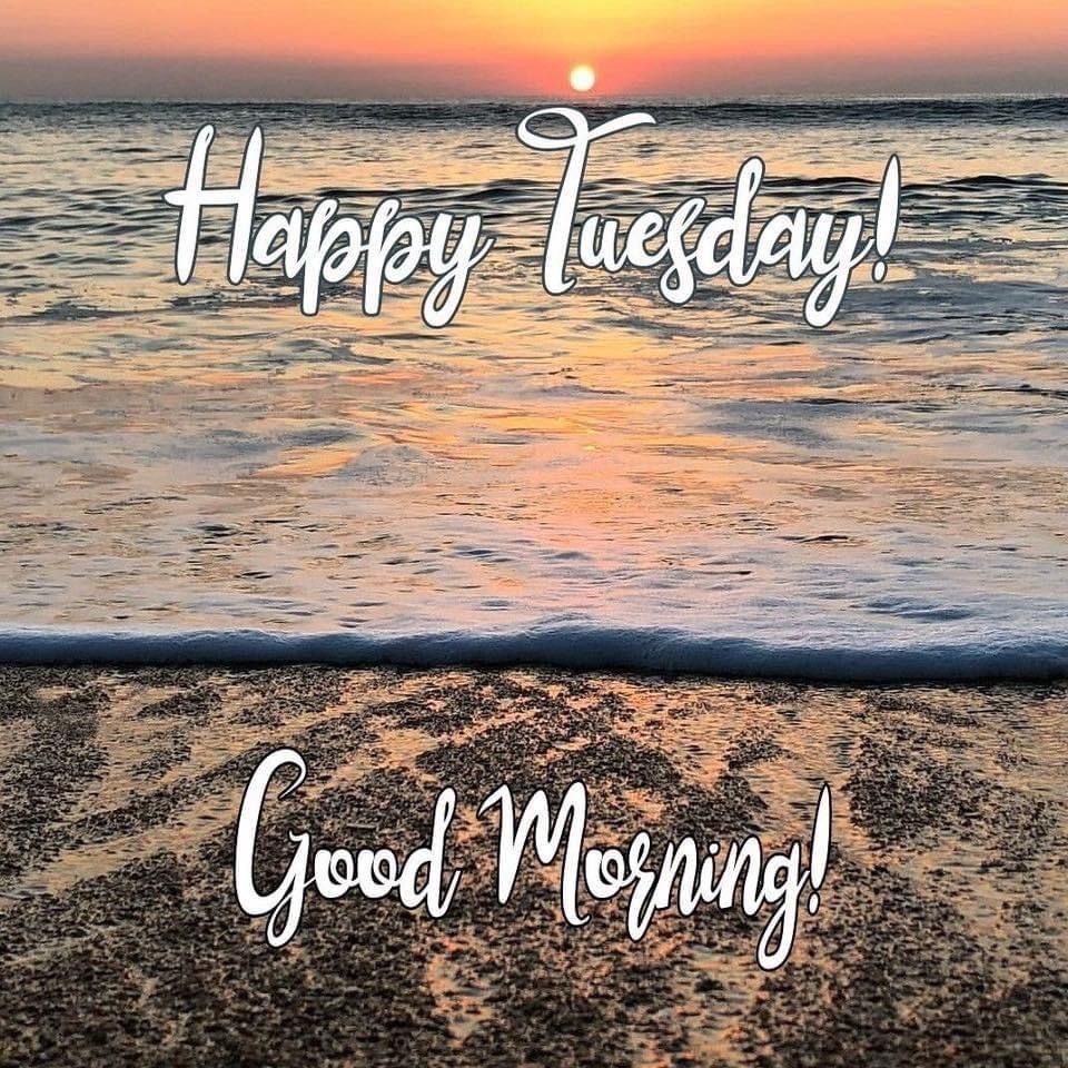 Happy Tuesday Meme, Tuesday Quotes Good Morning, Tuesday Greetings ...