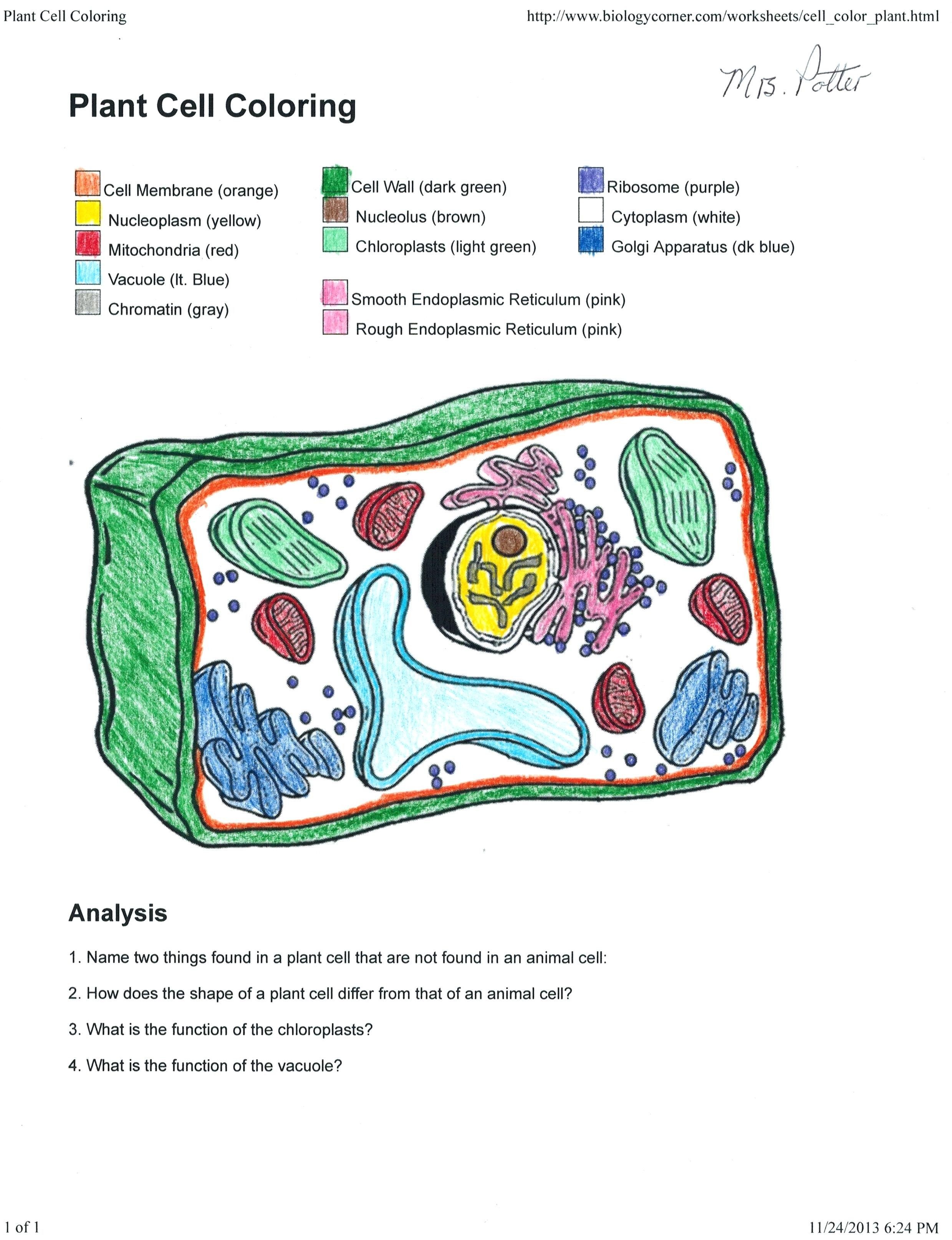 Animal And Plant Cell Labeling Worksheet