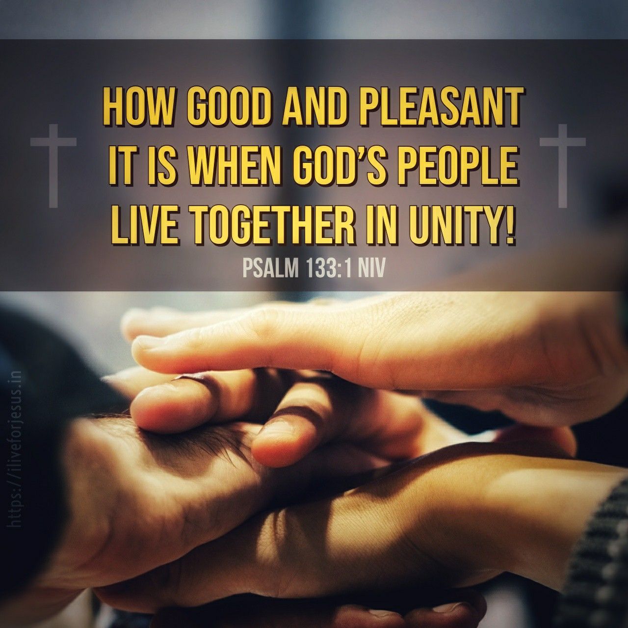 Live Together in Unity | Bible words, Bible quotes, Bible verses