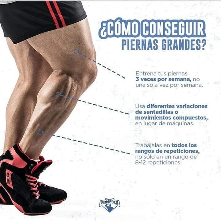 Como Aumentar Masa Muscular En Gluteos Y Piernas En Casa – NBKomputer